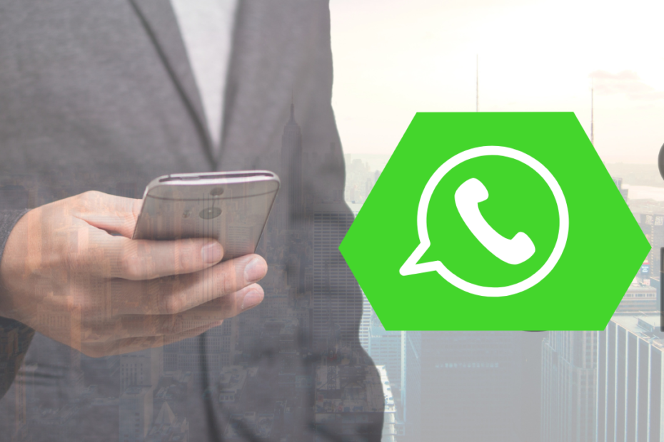 como salvar todos os contatos do whatapp